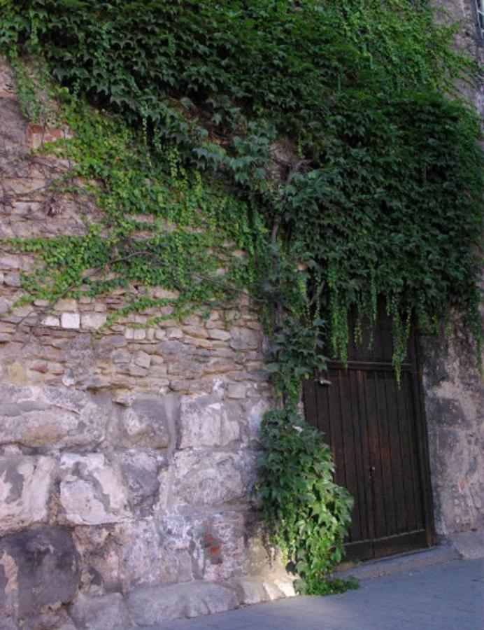 Aufhauser Hof Ratisbona